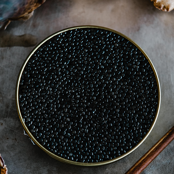 Black Caviar - 1 Pound